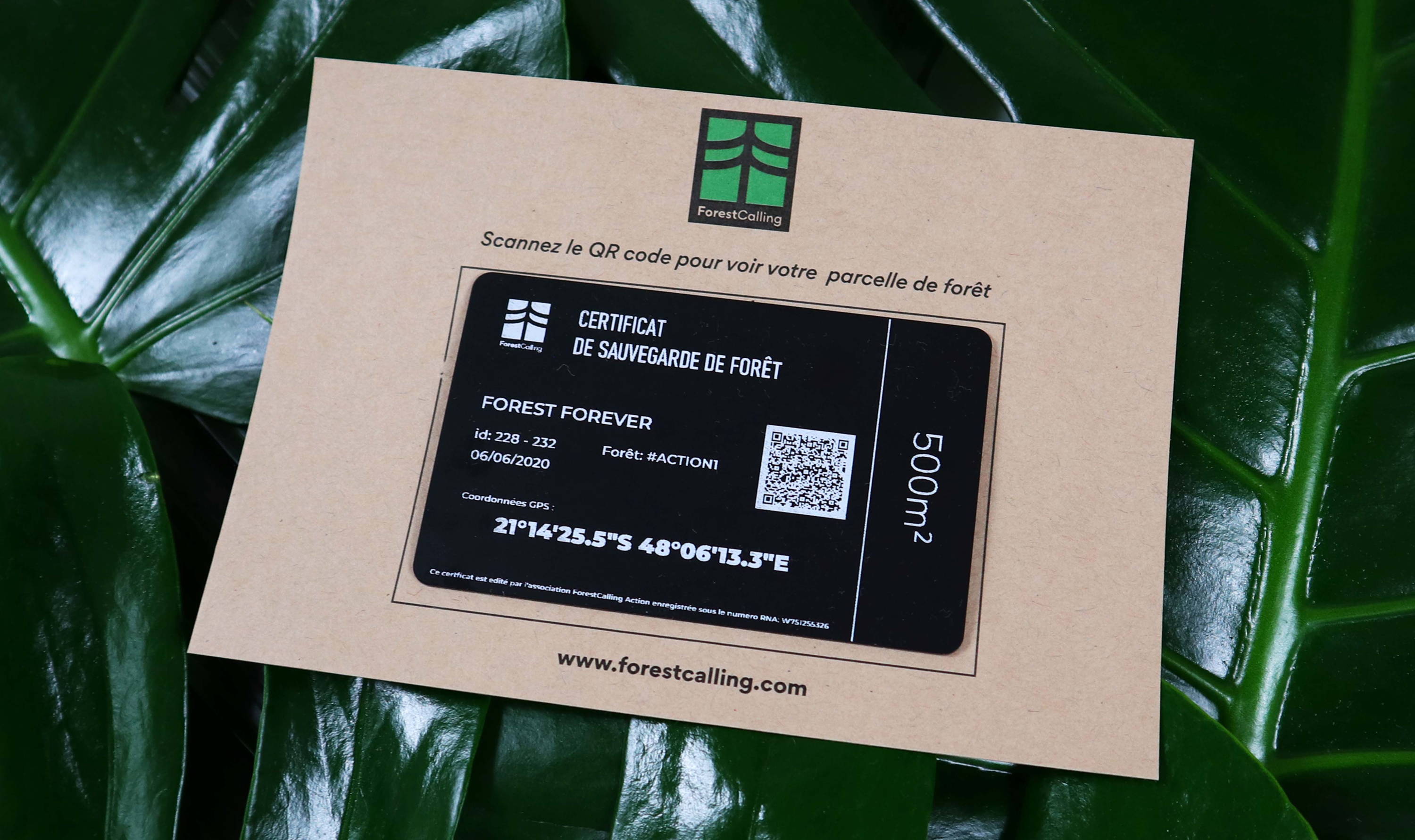 Certifcat de sauvegarde QR CODE ForestCalling Action