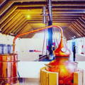 Alambics à gin dans la distillerie Loch Ness Spirits dans les Highlands du nord-ouest d'Ecosse