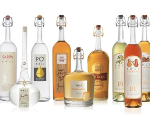 Esperienze gastronomiche Capannori: Grappa e liquori