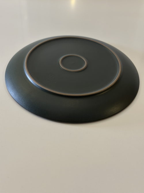 Seasonal Teal Green Coupe Line Dinner Plate