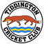 Tiddington cricket club logo