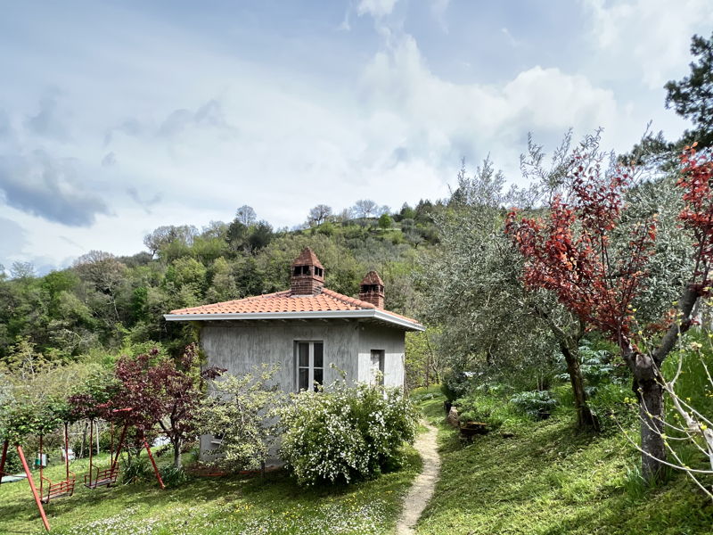 Cooking classes Nocera Umbra: Umbrian biscio, fresh egg pasta and tiramisu