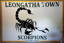 Leongatha Town Cricket Club logo
