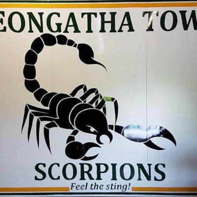 Leongatha Town Cricket Club Logo