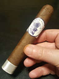 Cigar Session Photo