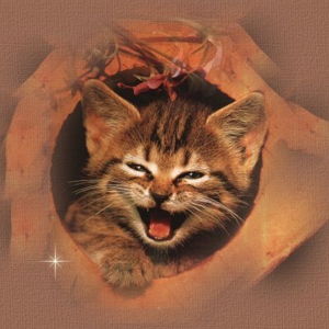 rjstoneus Avatar