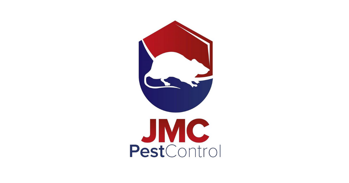 Get 20% Off General Pest Control: Ants, Cockroaches & Spiders