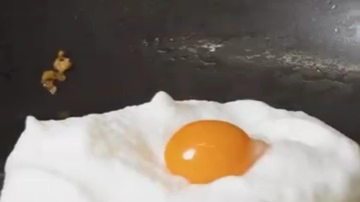 Main Content Image
