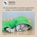 un chat qui dort avec une capuche verte et un message pour nos clientes  