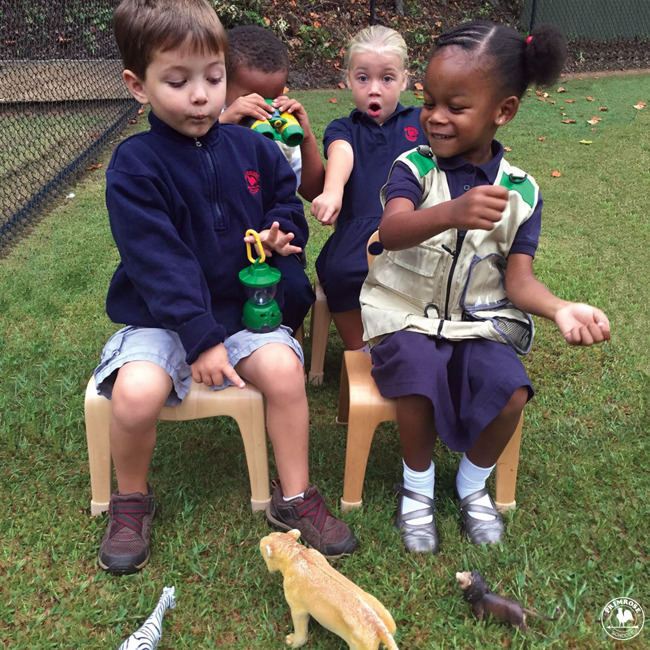 Four young Primrose students pretend to drive a truck on a wildlife safari with toy animals scattered all around them