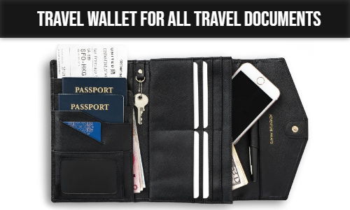 Travel Wallet for all Travel Documents