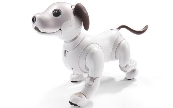 レンタル] ソニー エンタテインメントロボット aibo アイボリー