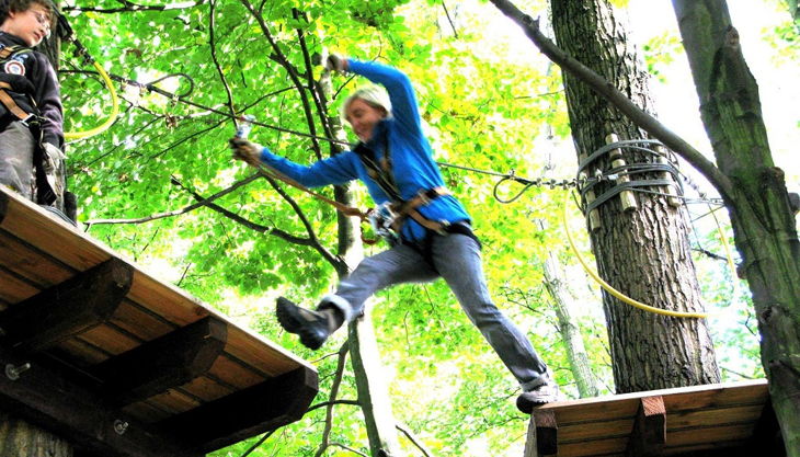 treetree der risiko sprung