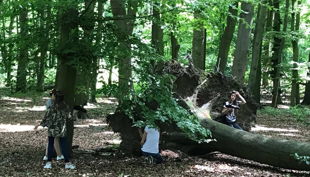 kinder hinter baumstamm