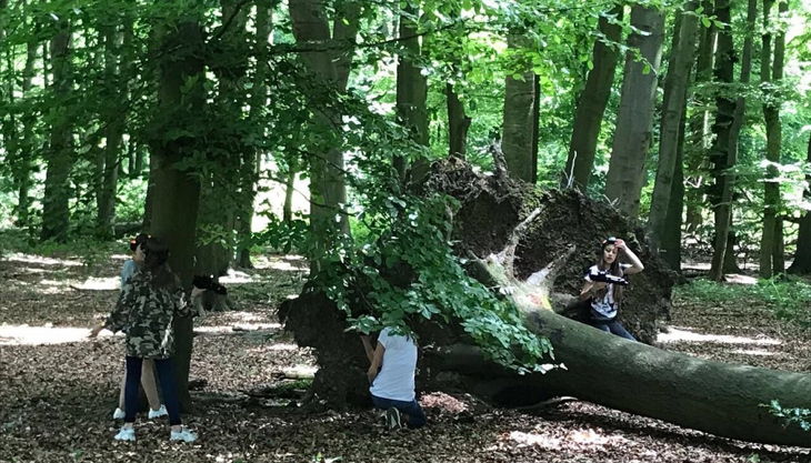 kinder hinter baumstamm