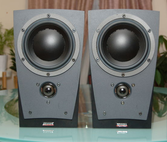 Dynaudio Contour SR