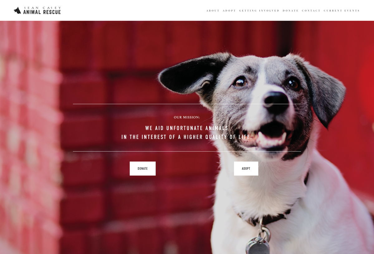 Screenshot of Sean Casey Animal Rescue, from the squarespace websites  collection.