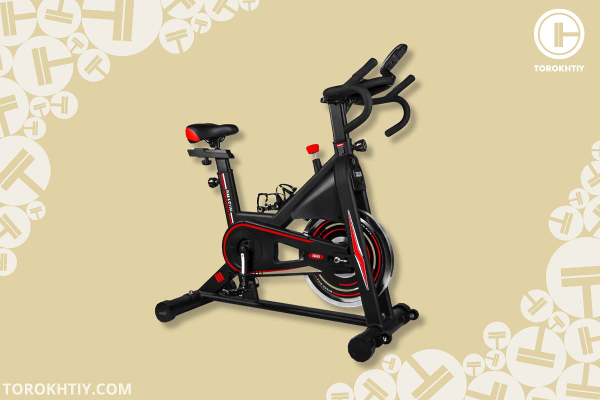 DMASUN Exercise Bike