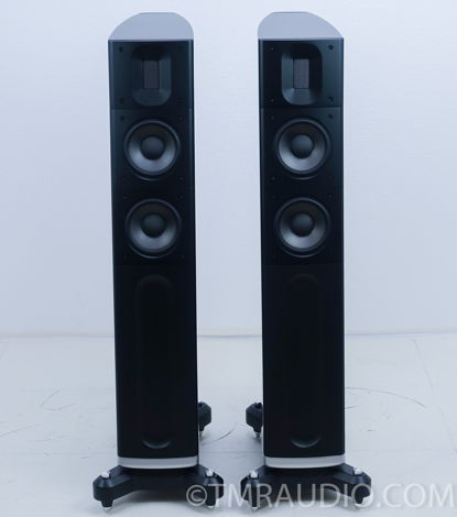 Raidho D2 Floorstanding Speakers; Excellent Pair (9769)
