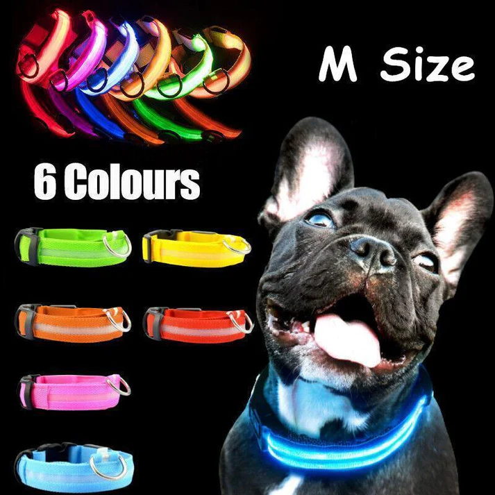 Yellow Medium Size USB Rechargeable LED Dog Collar Nylon Glow Flashing Light Up Neck Strap - Image 4