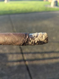 Cigar Session Photo