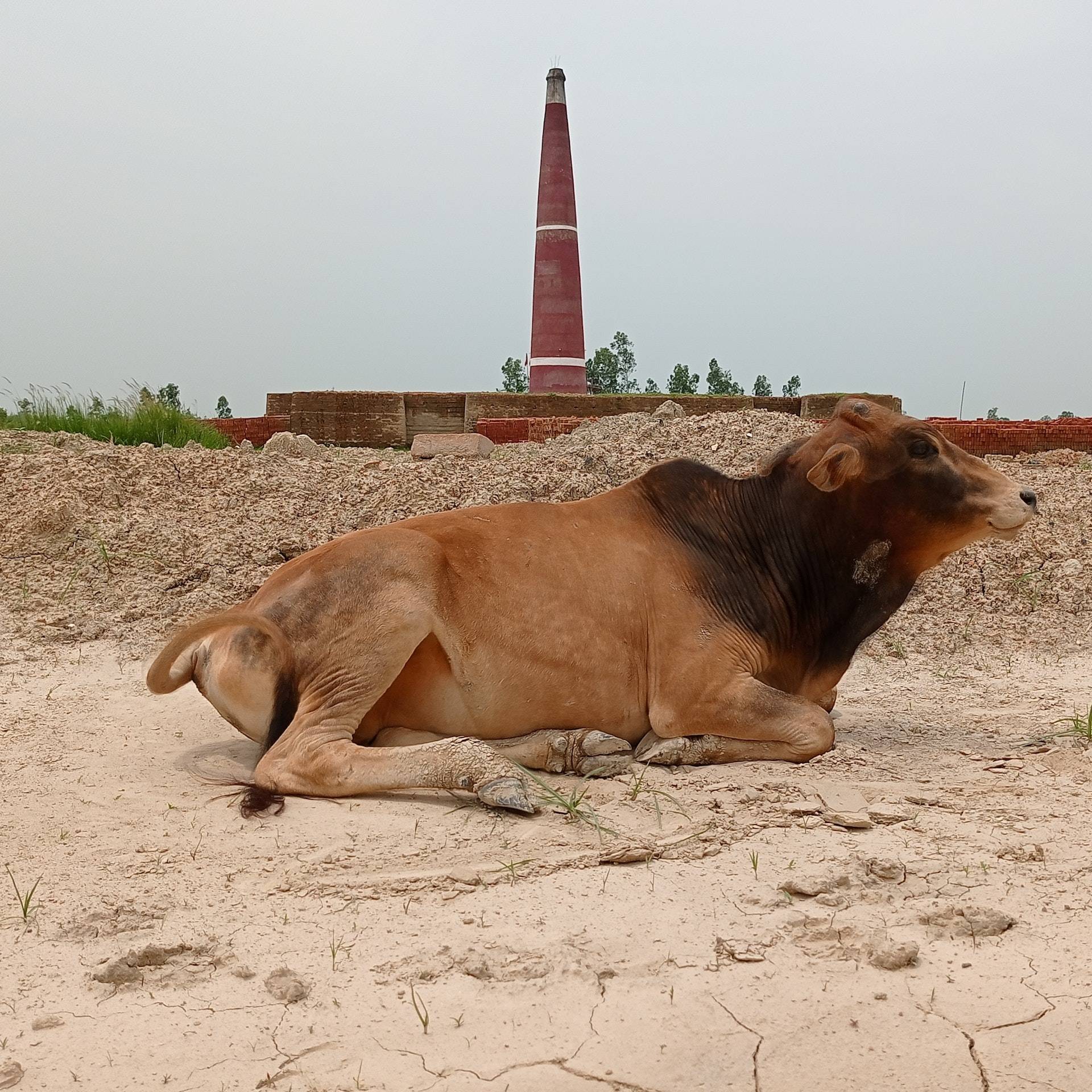 droughts affect agriculture the most