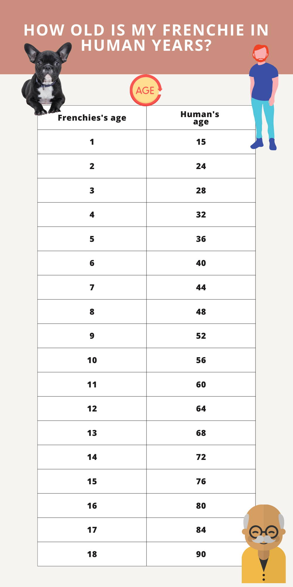 french bulldog age in human years