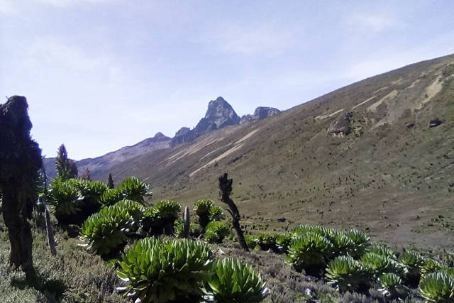 5days Climbing Mount Kenya Sirimoni- Chogoria Route