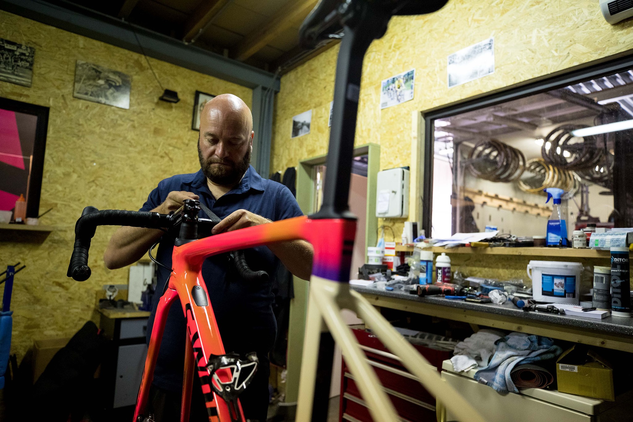 About Specialized