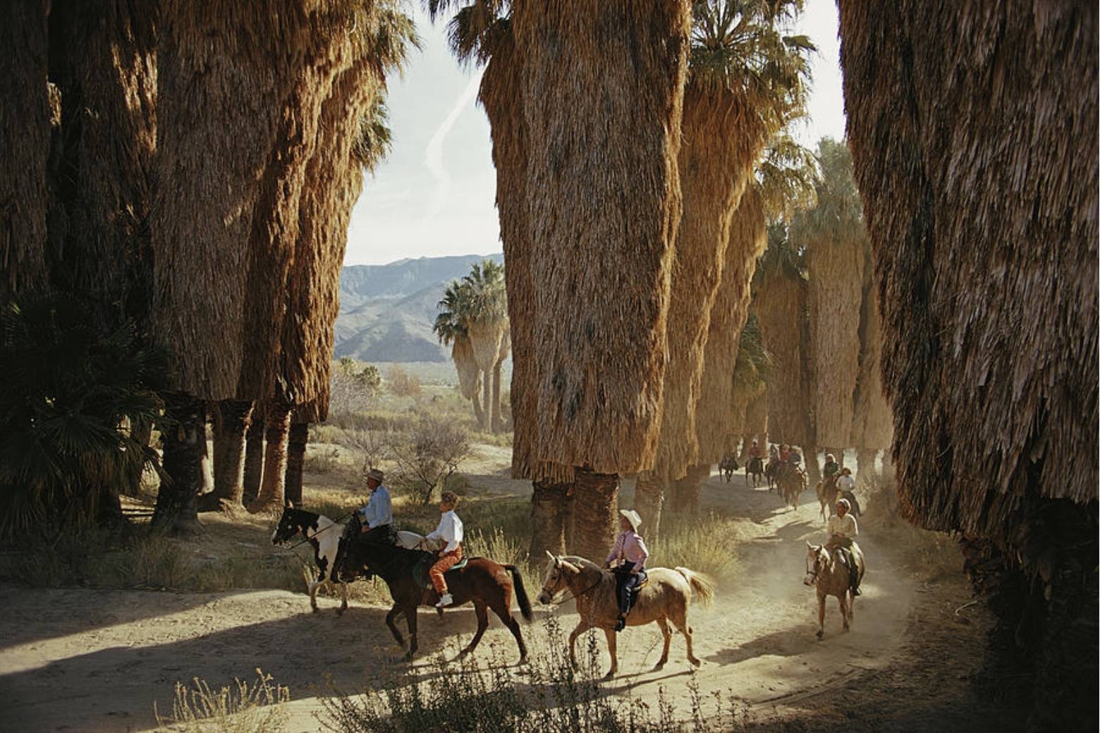 Early Riders by Slim Aarons - A horse riding scene captured by Slim Aarons with tall brown palms in a desert landscape