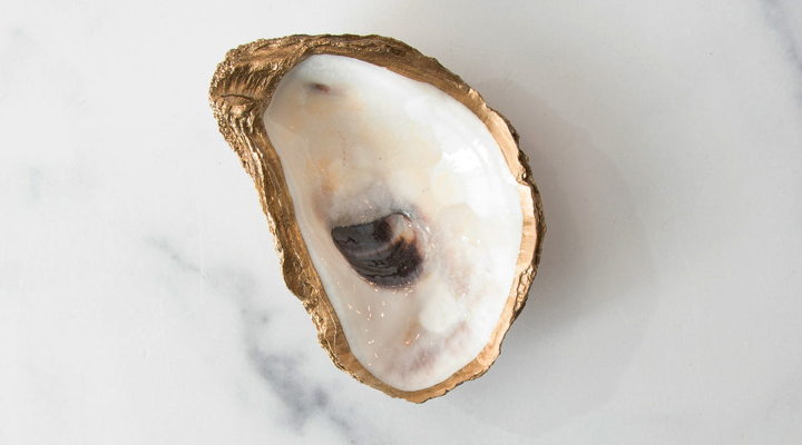 Main Content Image