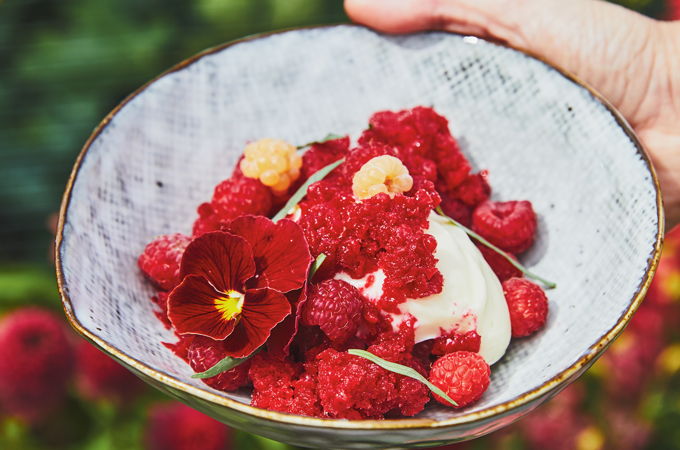 Raspberry Granita with White Chocolate and Tarragon Crémeux