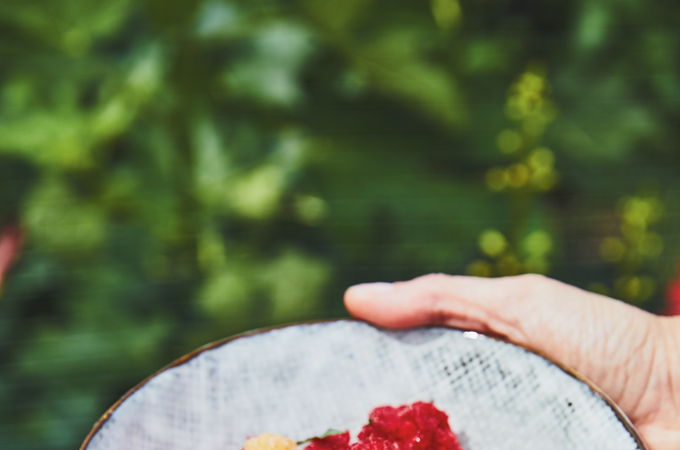 Granité à la framboise, crémeux au chocolat blanc et à l’estragon
