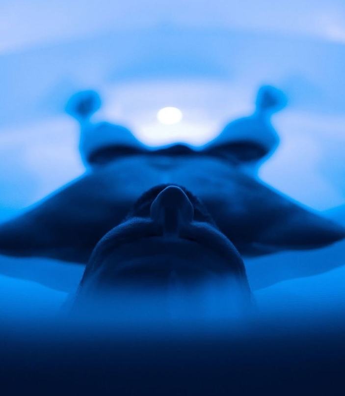 Bliss Wellness Hub - Voucher - Image 6