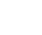 Vegan