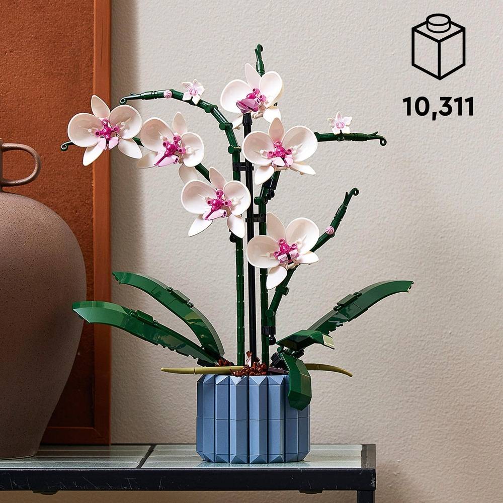 THE ORCHID
