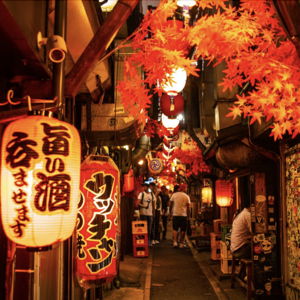 Japan Honeymoon Fund (Venmo option)