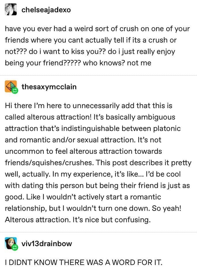 A tumblr convo thread where someone explains the attraction someone feels as alterous attraction and a responder is surprised there is a word for it.