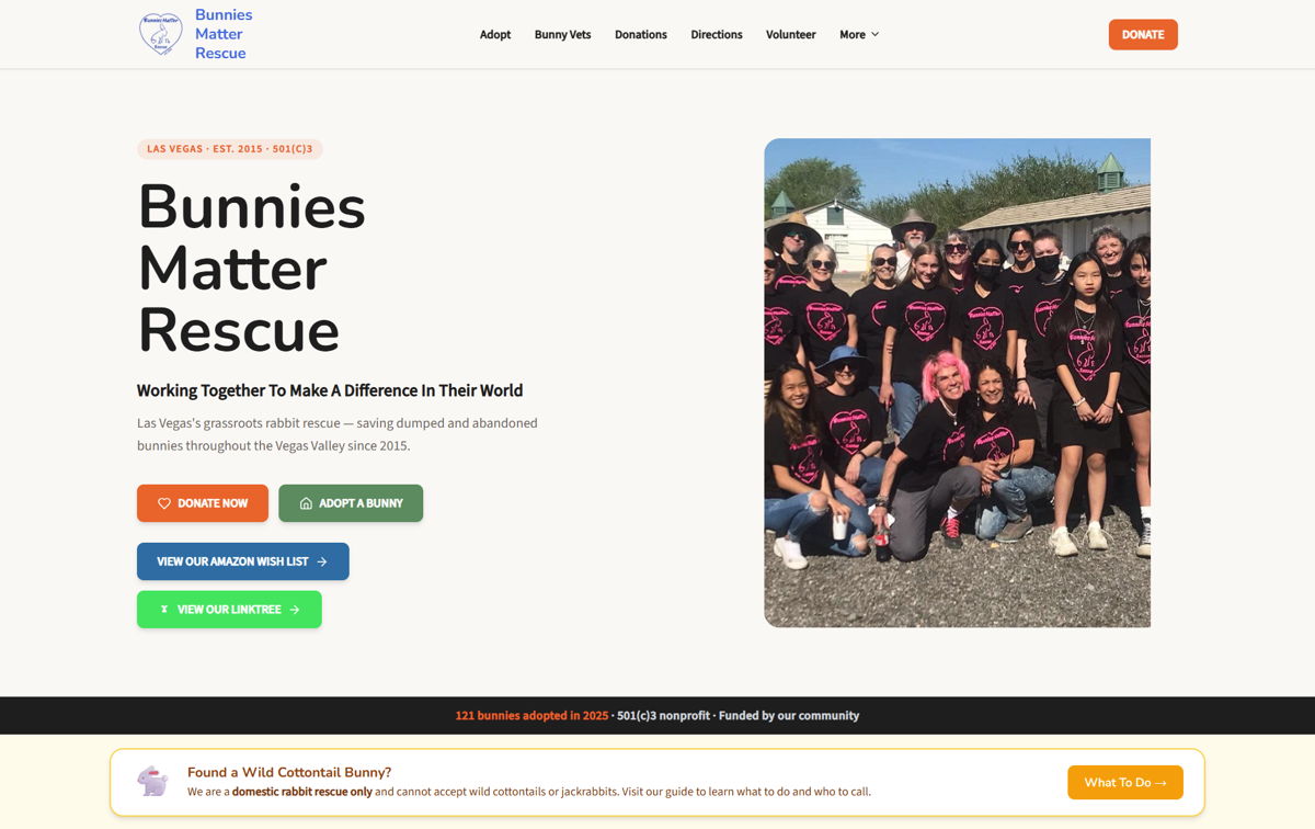 Screenshot of Bunnies Matter Rescue, from the godaddy airo websites collection.