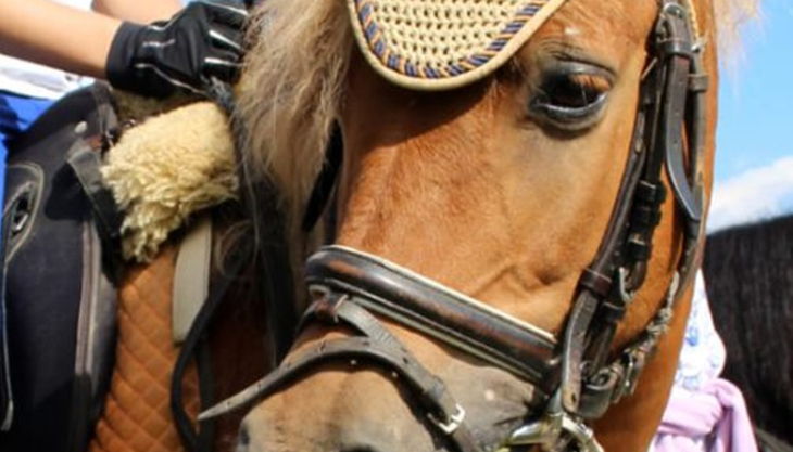 img home qdnqpsqzitnmpnbwudydydwriwkyg