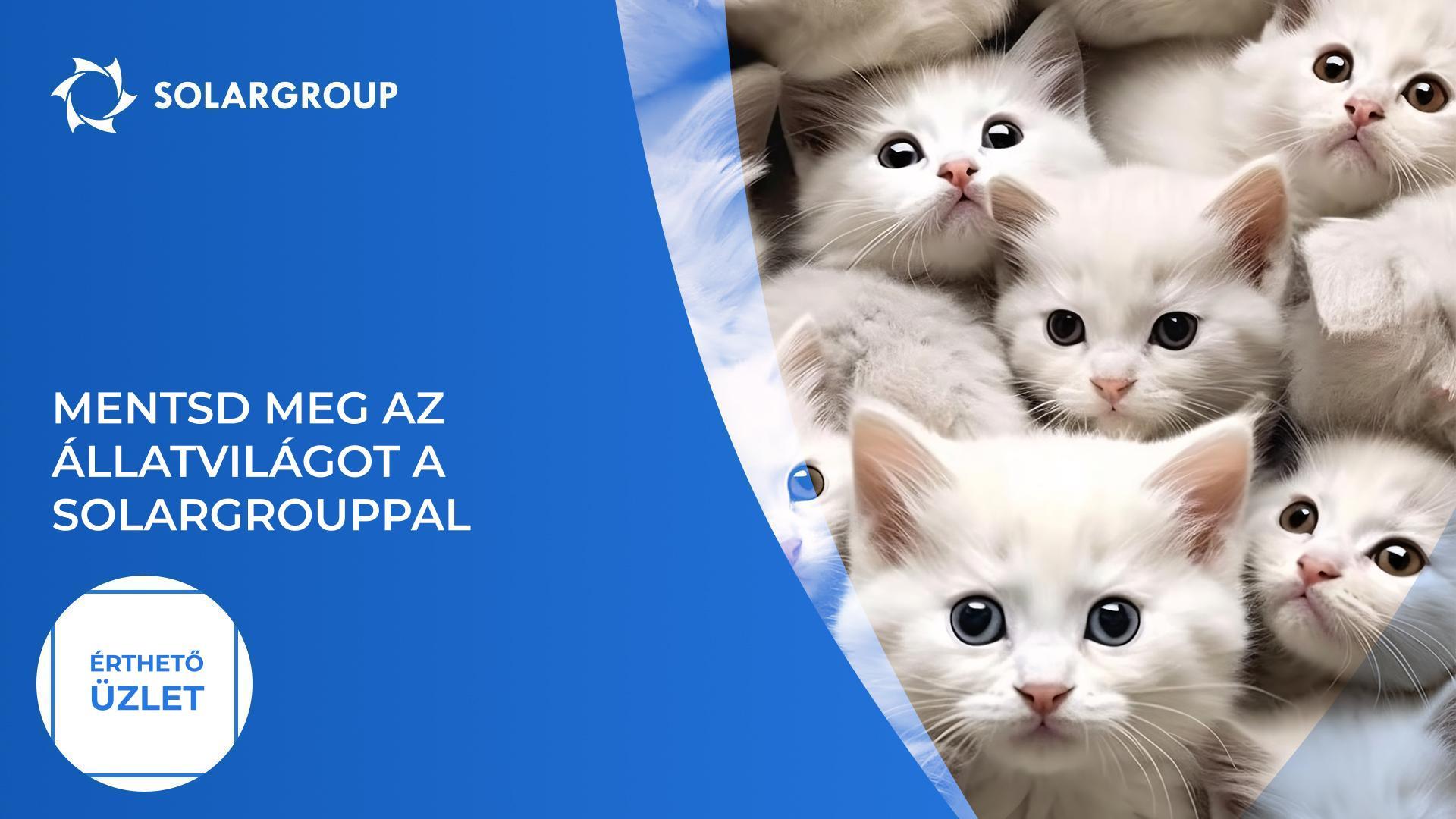 Mentsd meg az állatvilágot a SOLARGROUP-pal | Érthető üzlet