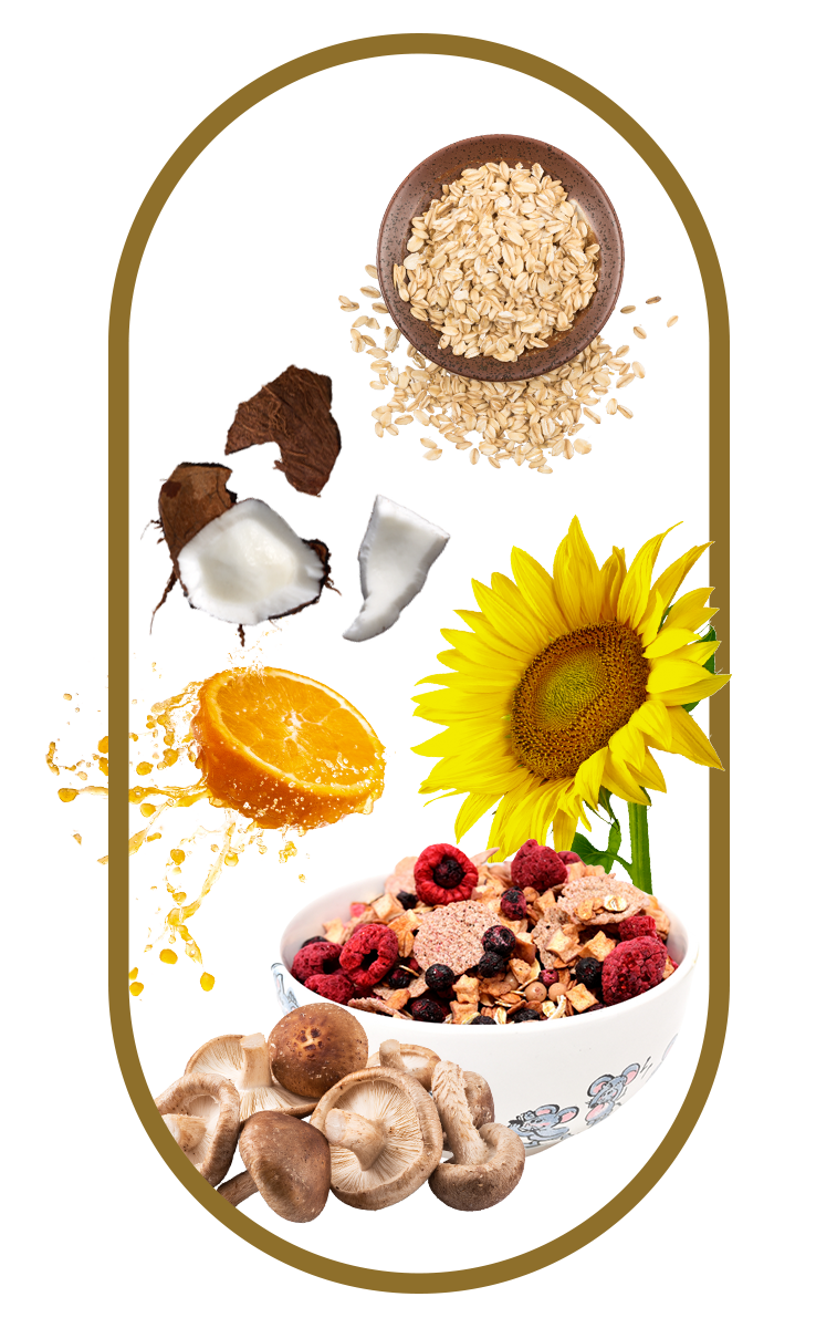 Vitamin D3 foods like mushrooms and oats help calcium magnesium zinc boost absorption, bones, and muscle function.