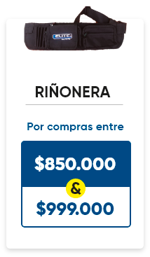 Llévate una riñonera por compras entre 850.000 y 999.000