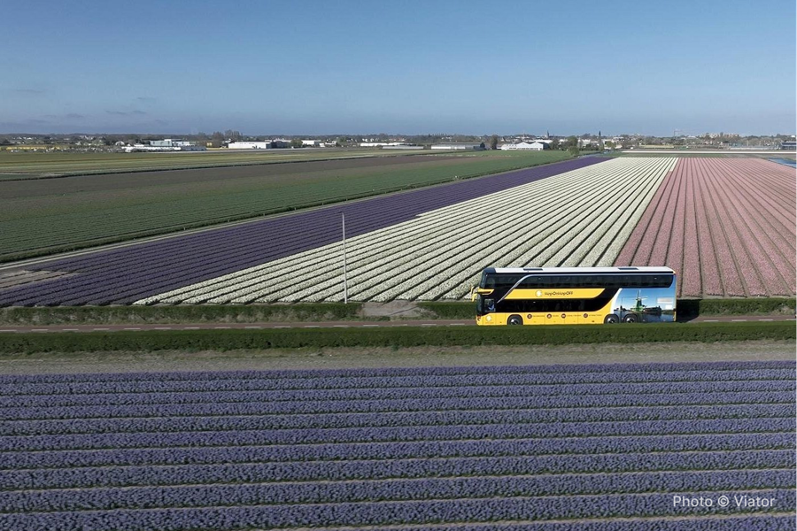 Amsterdam: Day trip to Tulip Farm, Keukenhof + Windmill Cruise - photo 2
