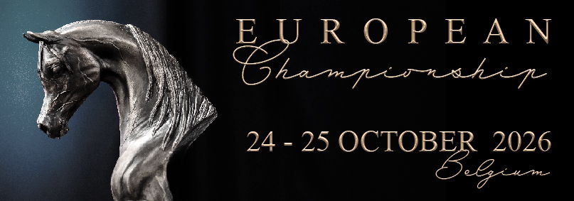 EC2026 banner (803x283).jpg