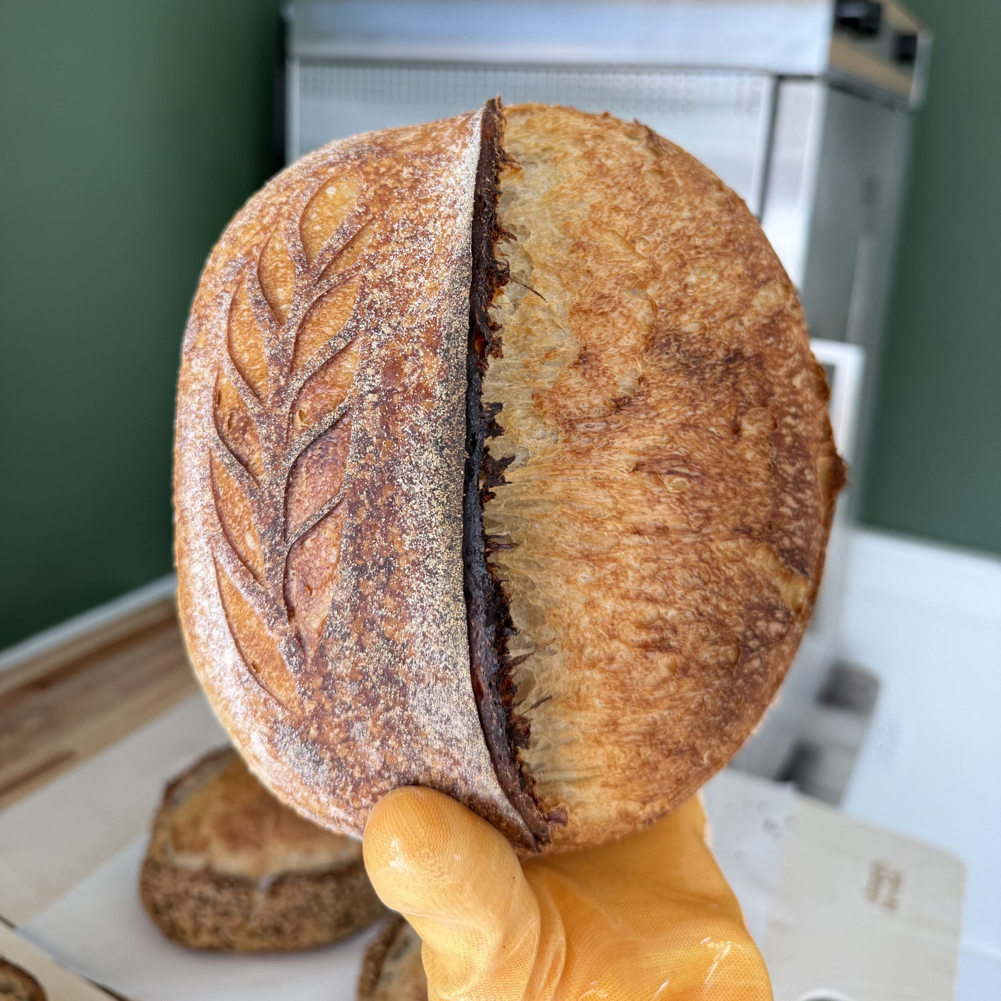 Random Road Sourdough — photo from hotplate.com