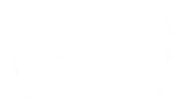 Main Content Image