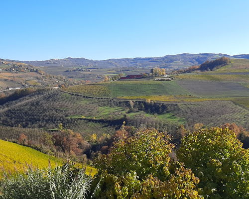 Esperienze gastronomiche La Morra: Langhe: visita in cantina e abbinamento cibo-vino a La Morra