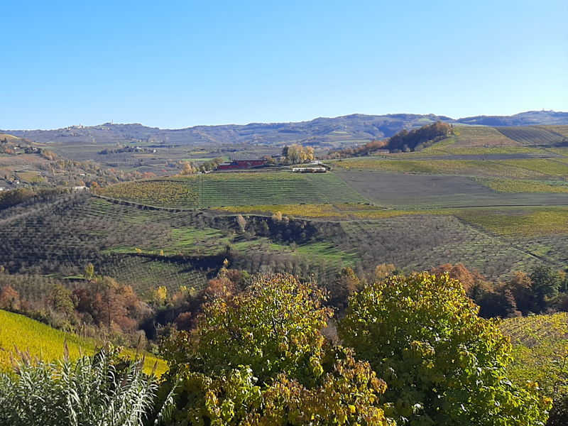 Corsi di cucina Serralunga d'Alba: Cucina tradizionale delle Langhe in una casa del '600