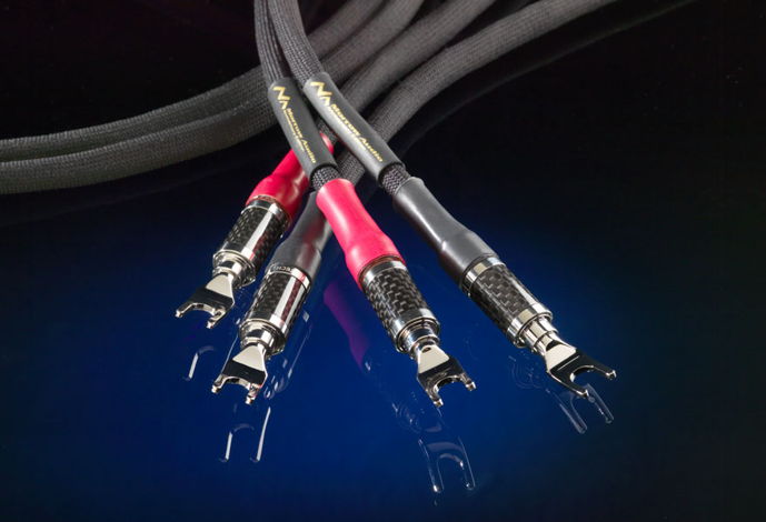 MORROW AUDIO 10 Year Anniversary Speaker Cables